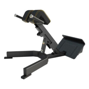 Back Extension - 3045