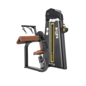 Triceps Machine - E1027