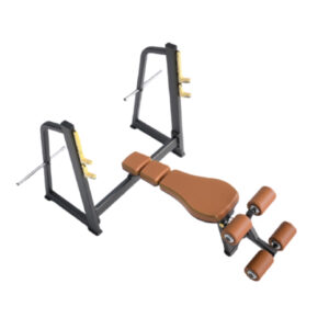Olympic Decline Bench - E1041