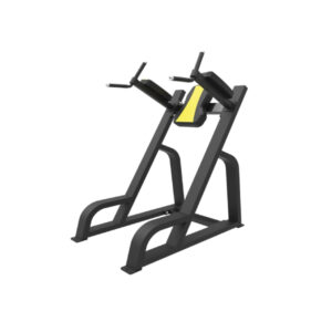 Vertical Knee Up / Dip JG-1647