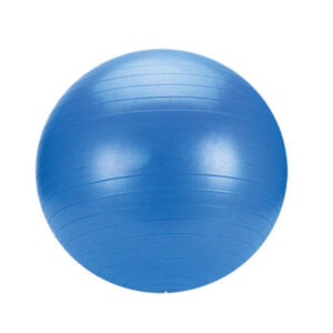 US7095 - Gym Ball (Plane)