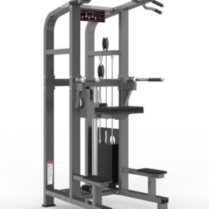 Chin/Dip Assist Realleader USA- M2-1020