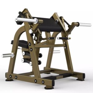 Biceps Curl Professional Gym Equipment Realleader USA LD-1005