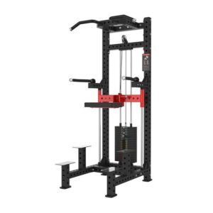 Chin Dip Assist ( SYT-K113 )