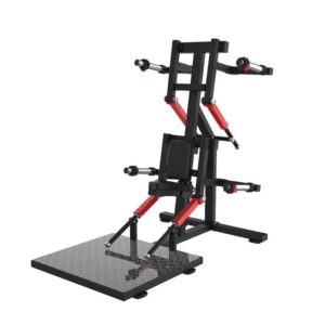 Lateral Raise ( SYT-HM100 )